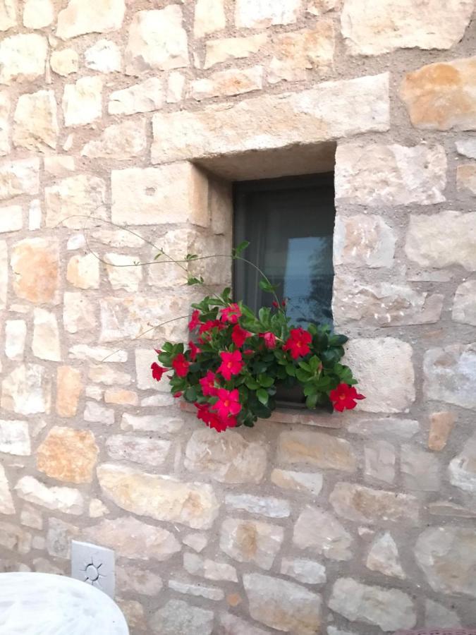 Luxury Apartments San Zeno Colognola ai Colli エクステリア 写真